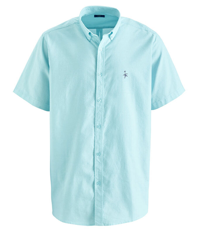 The Charismatic Goose | Short Sleeve Easy Iron Taylor Shirt | By Cotton Traders